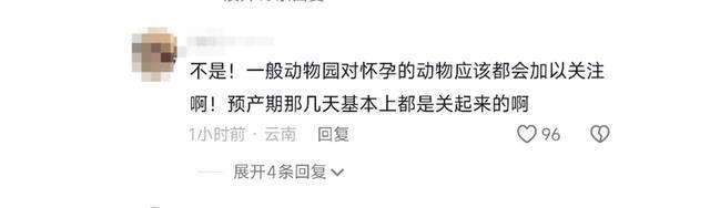 过问？动物园：生下来后就发现了目前安好CQ9电子网站威海小老虎生在墙角无人(图2)