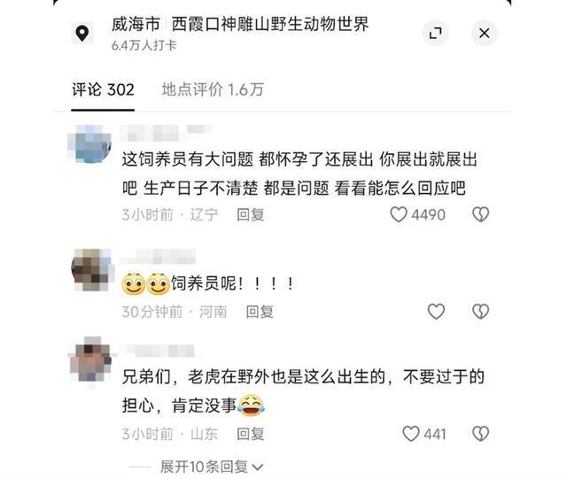 过问？动物园：生下来后就发现了目前安好CQ9电子网站威海小老虎生在墙角无人(图3)