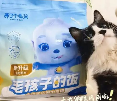 口粮！三只松鼠靠什么重返宠物食品赛道CQ9电子游戏网站零食巨头盯上毛孩子(图2)