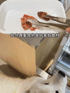 辣烫25一斤全是真肉上海狗有福了！CQ9电子破防了！上海惊现狗狗麻(图7)
