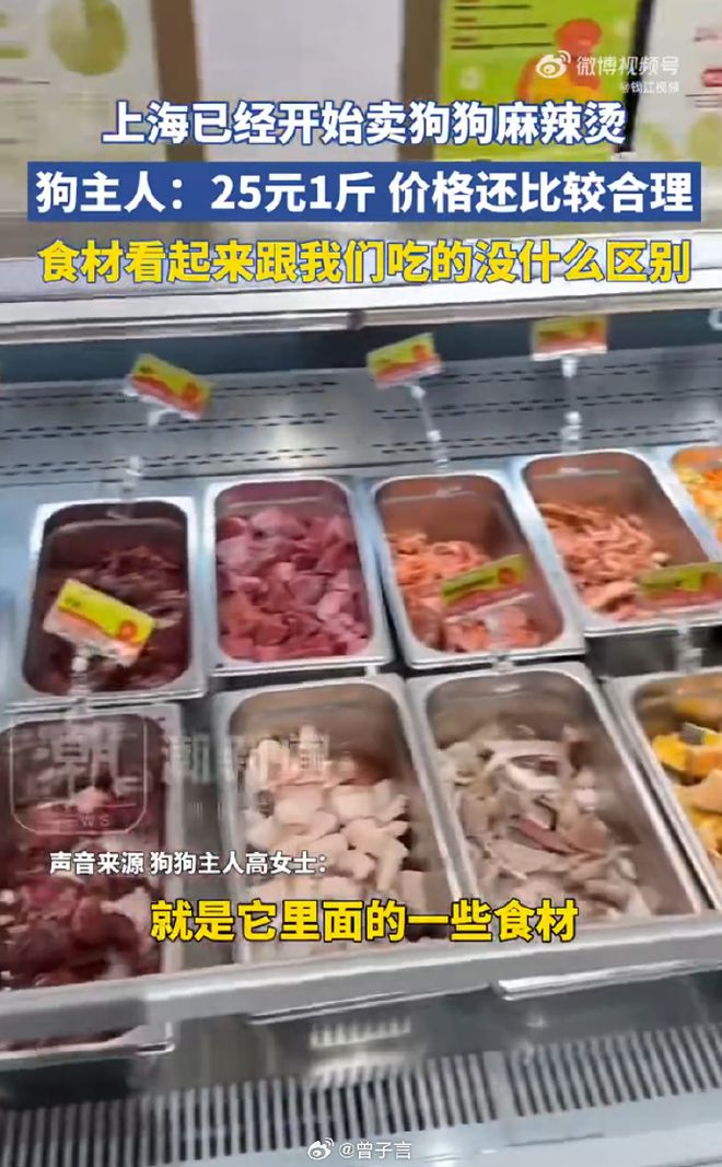 辣烫25一斤全是真肉上海狗有福了！CQ9电子破防了！上海惊现狗狗麻(图9)