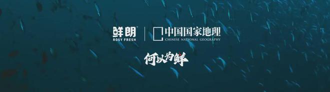 内首个《鲜肉烘焙全价宠物食品》标准CQ9电子从开创到引领：鲜朗发布国(图6)