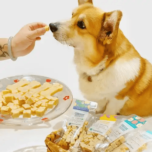 选宠物食品看成分表再也不迷茫！CQ9电子中国网站手把手教你挑(图3)